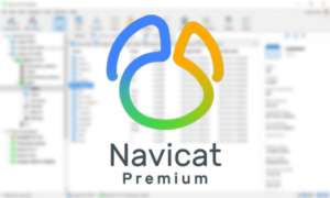 Navicat Premium Crack 7.1.0 Descargar Para Windows [Jan-2025]